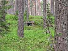 Ryssänuuni" oli entisaikojen merimiehen leivinuuni.