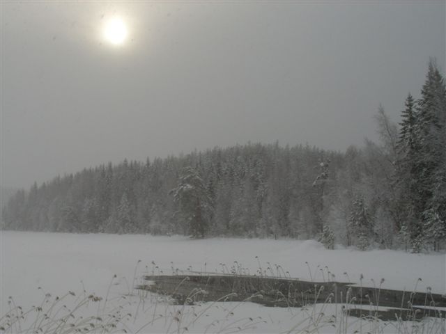 Repovesi varaustupa